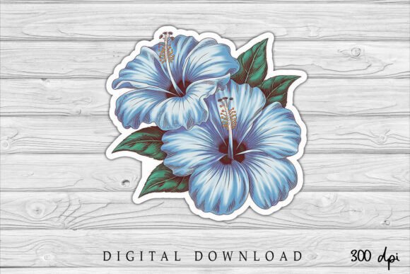 Blue Hibiscus Flowers Graphics for Modern Editorial Design