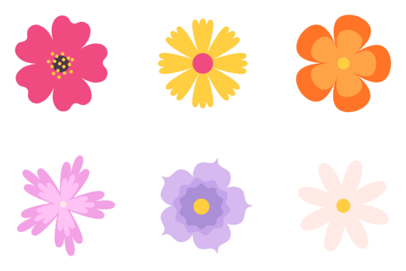 Colorful Flowers for Vibrant Branding
