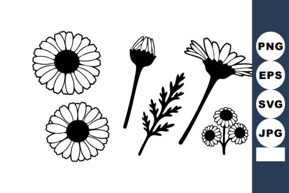 Daisy Flowers Vector with Detailed Peta - Elegant Graphics for Local Branding