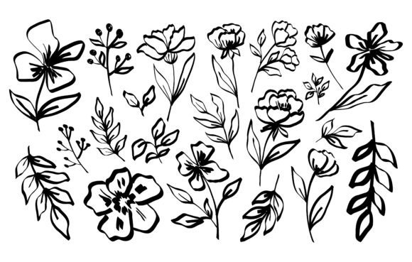Hand Draw Line Flowers and Leaves Graphics for Branding