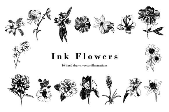 Hand Drawn Graphics for Elegant Editorial Design