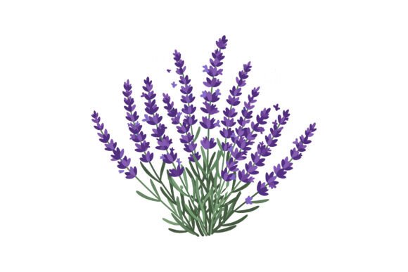 Lavender Plant Graphic for Crafting