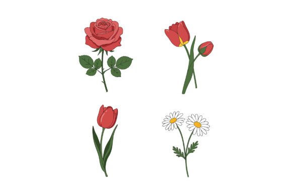 Red Rose and Tulip Flowers with Green Le