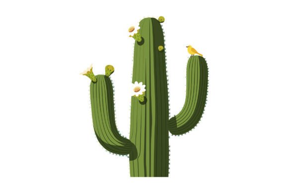 Saguaro Cactus with Blooming Flowers and Graphics