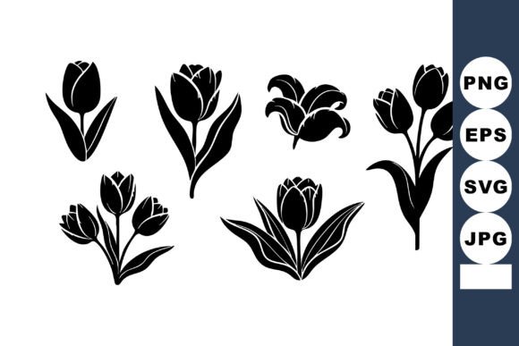 Tulip Flowers Vector Set with Black Silh for Graphics and Illustrations