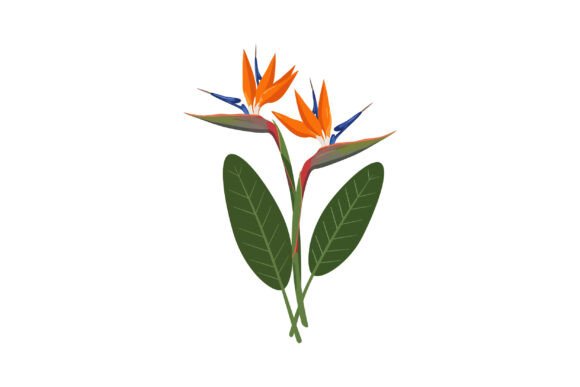 Vibrant Tropical Flowers with Bold Color