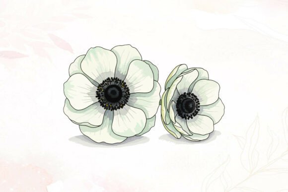 White Anemone Flowers Illustration for Branding and Marketing